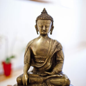 DWBA12156_salzburg_ikarus_8001_rtlm DWBA12156_salzburg_ikarus_8001_rtlm