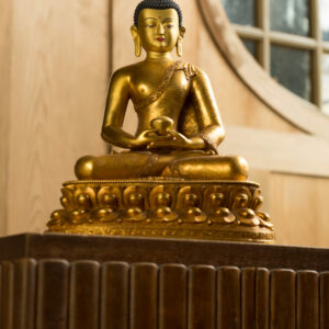 DWBA25306_20140324_EC_Amitabha_rMB_DSC_7562 DWBA25306_20140324_EC_Amitabha_rMB_DSC_7562