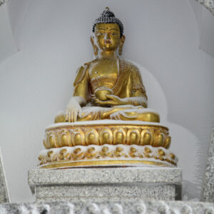 DWBA2685_kbl_jan2012_img_2865_rve DWBA2685_kbl_jan2012_img_2865_rve