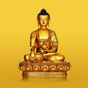 118327098_3335194883169700_4818539587531571587_n-2 118327098_3335194883169700_4818539587531571587_n-2